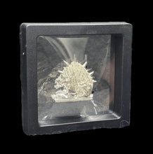 Load image into Gallery viewer, 103-0301:  Single Miiniature Display Case