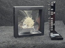 Load image into Gallery viewer, 103-0301:  Single Miiniature Display Case