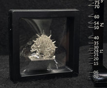 Load image into Gallery viewer, 103-0301:  Single Miiniature Display Case