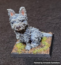 Load image into Gallery viewer, 48-0889:  Giant Westie
