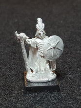 Load image into Gallery viewer, 50-0042: Elf Champion with Axe and Shield