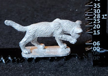 Load image into Gallery viewer, 48-0891:  Giant Kitten, Tracking