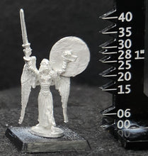 Load image into Gallery viewer, 50-0786: Wind Lord Hero, Female, with Sword and Shield