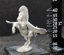 Load image into Gallery viewer, 48-0801: Pegasus I