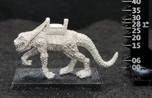 Load image into Gallery viewer, 48-0686:  Lizard Mount, Heavy Scales, Advancing Right