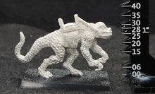 Load image into Gallery viewer, 48-0688: Lizard Mount, Heavy Scales, Rearing