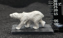 Load image into Gallery viewer, 48-0245:  Polar Bear I, Closed Mouth