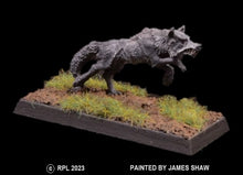 Load image into Gallery viewer, 48-0024:  Feral Wolf, Attacking