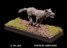 Load image into Gallery viewer, 48-0025:  Feral Wolf, Standing