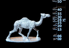 Load image into Gallery viewer, 48-0055:  Camel, Standing