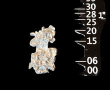 Load image into Gallery viewer, 48-0059:  Snake Swarms (2)