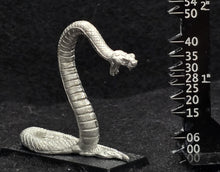 Load image into Gallery viewer, 48-0062: Anaconda
