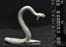 Load image into Gallery viewer, 48-0062: Anaconda