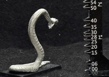 Load image into Gallery viewer, 48-0062: Anaconda