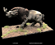 Load image into Gallery viewer, 48-0101:  Brontotherium I