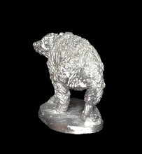 Load image into Gallery viewer, 48-0106: Megalictis, Right Front Foot Raised