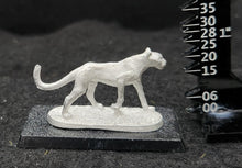 Load image into Gallery viewer, 48-0110:  Cheetah