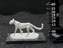 Load image into Gallery viewer, 48-0110:  Cheetah