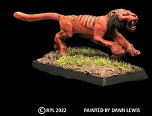 Load image into Gallery viewer, 48-0113: Liger