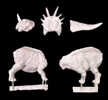 Load image into Gallery viewer, 48-0180:  Styracosaurus