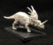 Load image into Gallery viewer, 48-0180:  Styracosaurus
