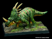 Load image into Gallery viewer, 48-0180:  Styracosaurus