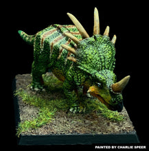 Load image into Gallery viewer, 48-0180:  Styracosaurus
