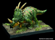 Load image into Gallery viewer, 48-0180:  Styracosaurus