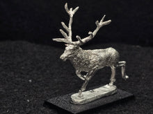 Load image into Gallery viewer, 48-0635:  Great Stag, Right Leg Raised