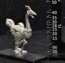 Load image into Gallery viewer, 48-0645: Giant Cassowary, Saddled