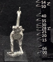 Load image into Gallery viewer, 48-0645: Giant Cassowary, Saddled