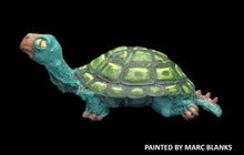 Load image into Gallery viewer, 48-0678: Young War Turtle