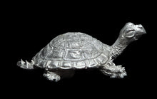 Load image into Gallery viewer, 48-0678: Young War Turtle