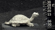 Load image into Gallery viewer, 48-0678: Young War Turtle