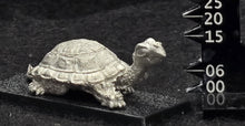 Load image into Gallery viewer, 48-0678: Young War Turtle