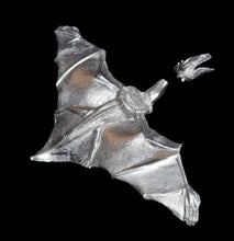 Load image into Gallery viewer, 48-0773: Pteradactyl with Harness