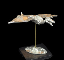 Load image into Gallery viewer, 48-0774: Mechanical Pteradactyl with Harness