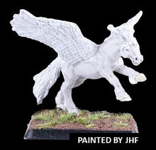 Load image into Gallery viewer, 48-0804: Pegasus
