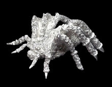 Load image into Gallery viewer, 48-0849: Spider, Large