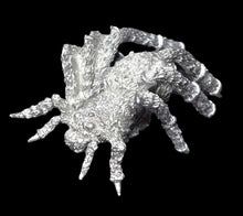 Load image into Gallery viewer, 48-0849: Spider, Large
