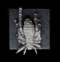 Load image into Gallery viewer, 48-0849: Spider, Large