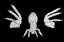 Load image into Gallery viewer, 48-0849: Spider, Large