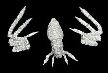 Load image into Gallery viewer, 48-0849: Spider, Large