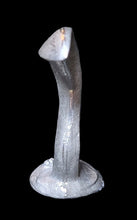 Load image into Gallery viewer, 48-0860: Giant Leech