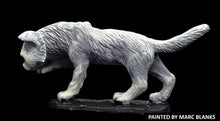 Load image into Gallery viewer, 48-0891: Giant Kitten, Tracking