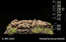 Load image into Gallery viewer, 48-0991:  Giant Rat Swarm