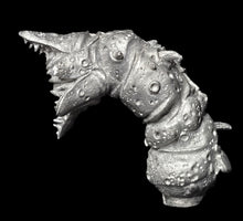 Load image into Gallery viewer, 48-0994: Giant Tomb Worm