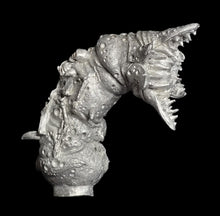 Load image into Gallery viewer, 48-0994: Giant Tomb Worm