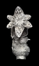 Load image into Gallery viewer, 48-0994: Giant Tomb Worm