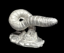 Load image into Gallery viewer, 48-0995: Rock Worm, Shorter